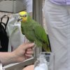 2011-09-04 Wantijpark